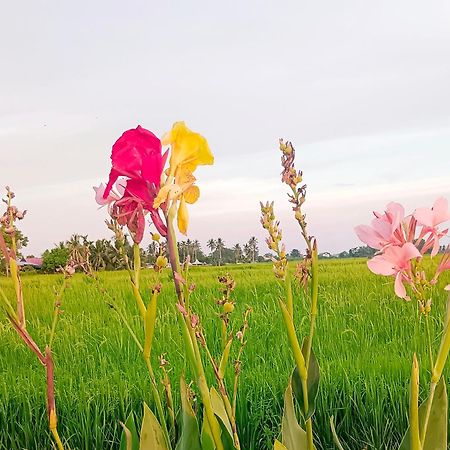 Kurau Inn Farmstay Kuala Kurau Exteriör bild