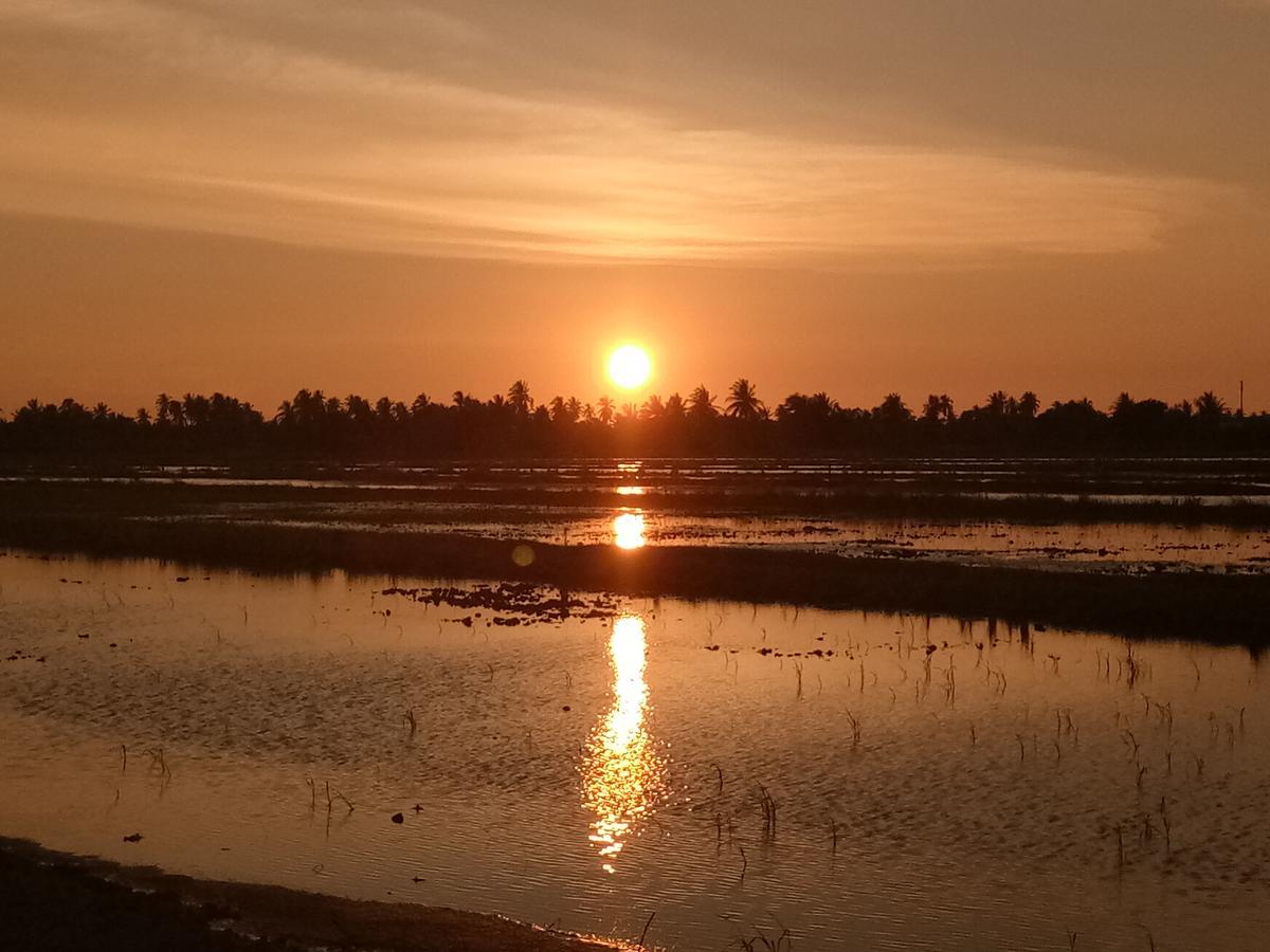 Kurau Inn Farmstay Kuala Kurau Exteriör bild